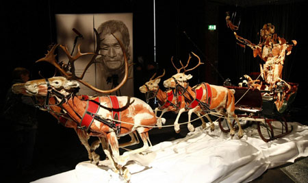New 'Body Worlds' exhibition