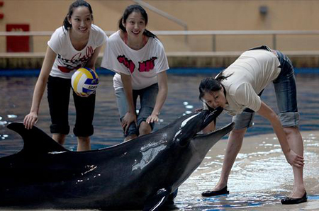 Volleyball star leads dolphin protection campaign