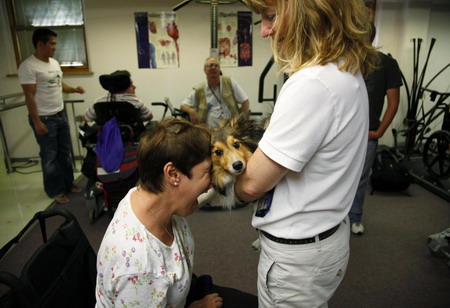 Inspiring two-legged dog gets therapy