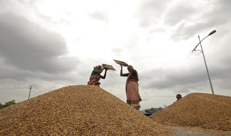 World Food Day: The world is hungry