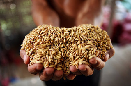 World Food Day: The world is hungry
