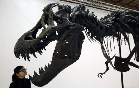 'Playing with Dinosaurs' in Taipei