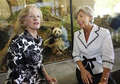 Pandas go on display at Adelaide Zoo