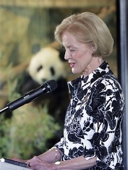 Pandas go on display at Adelaide Zoo