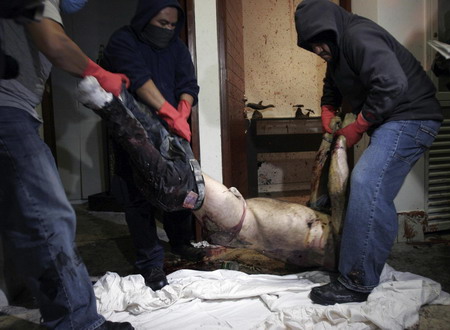 Mexico drug lord is shot dead at a luxury complex