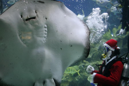 Santa Claus around the world ready for annual work