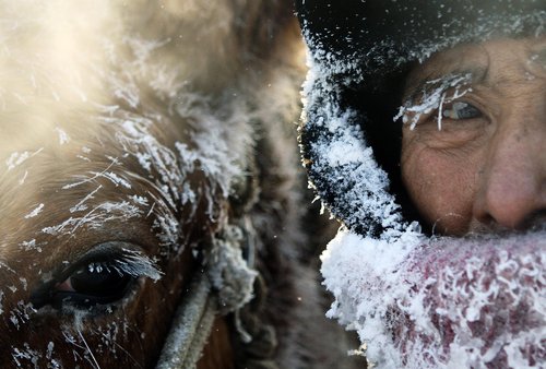 Weekly Photos: Jan.2 -Jan.8