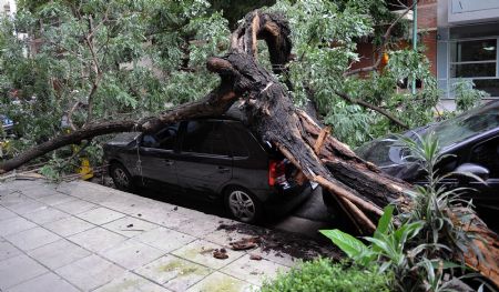 2 killed, several injured in fierce wind in Argentina capital