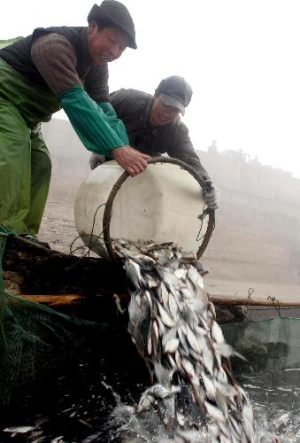 Chinese farmers reap bumper winter harvest