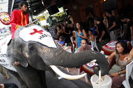 Thai elephants help collect money for Haiti