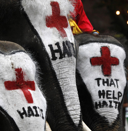 Thai elephants help collect money for Haiti