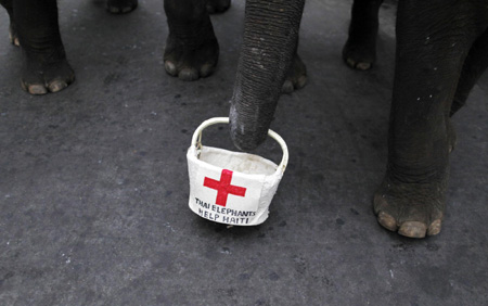 Thai elephants help collect money for Haiti