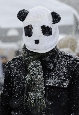 US panda lovers brave snow to bid farewell to Tai Shan