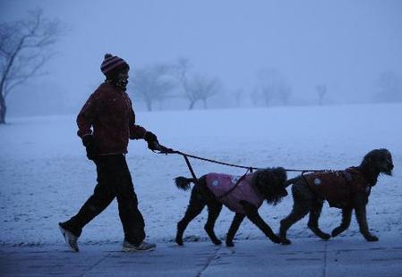 Major snowstorm hits US east coast