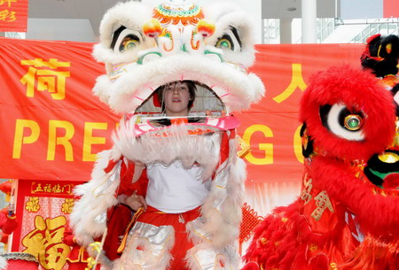 Chinese Spring Festival, global celebrations