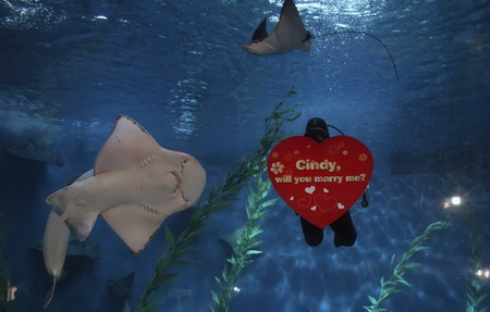Valentine's Day marked around the world