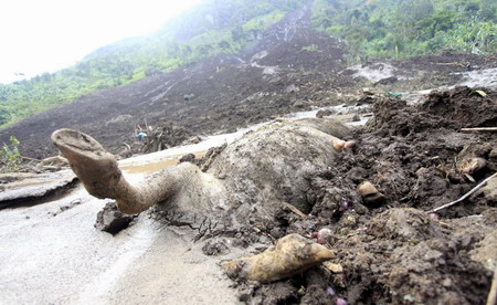 Ugandans search for the missing due to landslide