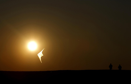 Fly a kite