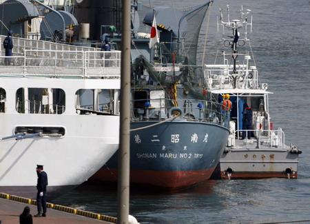 Anti-whaling activist arrested in Japan