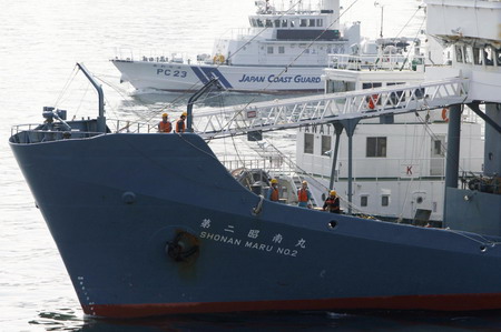 Anti-whaling activist arrested in Japan