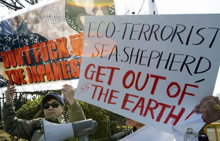 Anti-whaling activist arrested in Japan