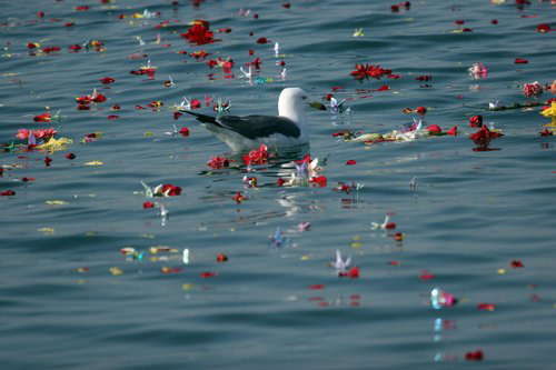 80,000 sea burials in Liaoning since 1997