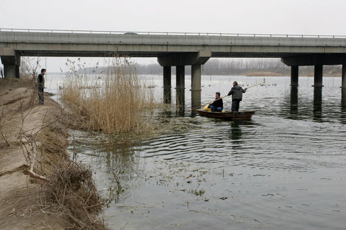 Bodies of babies found in river in Shandong