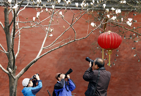 Cold spring in Beijing