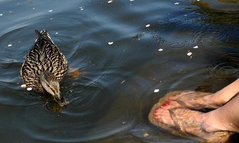 Temperature in NY reaches record high
