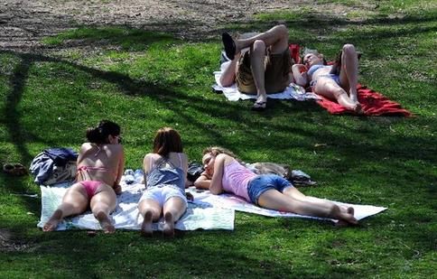 Temperature in NY reaches record high