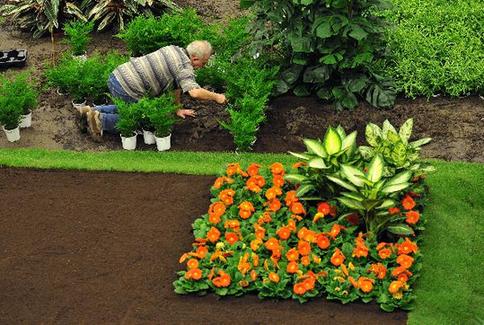 World's largest indoor flower show to kick off