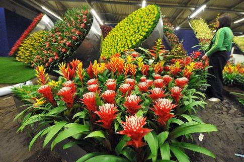 World's largest indoor flower show to kick off