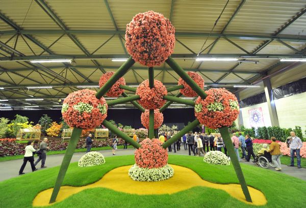 34th Ghent Flower Show kicks off