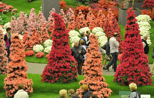 34th Ghent Flower Show kicks off