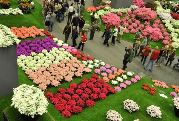34th Ghent Flower Show kicks off