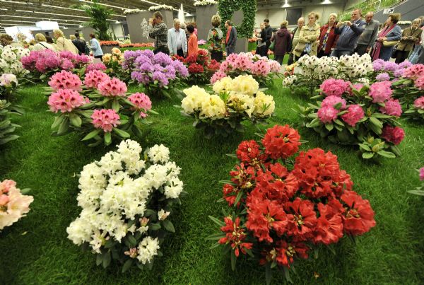34th Ghent Flower Show kicks off