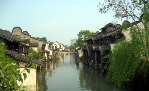 Smell the spring flowers of Wuzhen