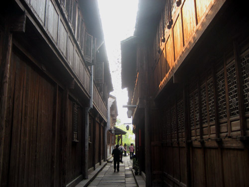 Smell the spring flowers of Wuzhen