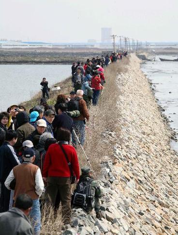 Birds Viewing Festival opens at China-DPRK border city