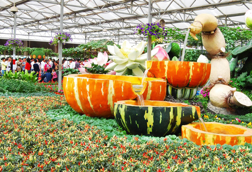 Giant vegetable 'grows' in E China