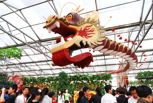 Giant vegetable 'grows' in E China