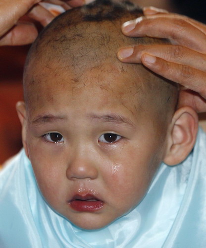 Novice monks start new life in temple