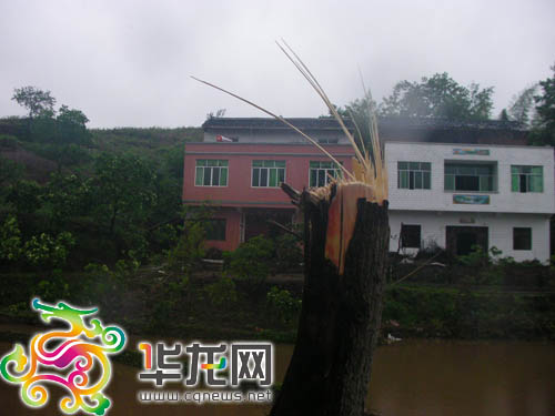 Strong gales, heavy rain hit Chongqing