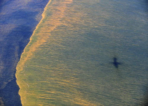 Gulf of Mexico oil clean-up continues