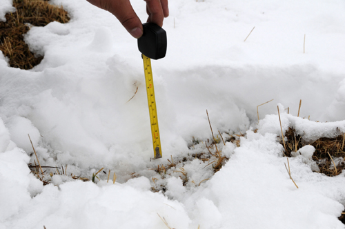 Snow blankets quake-hit Yushu