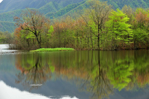 Shennongjia offers spring charm