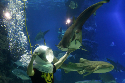 Under the 'sea'