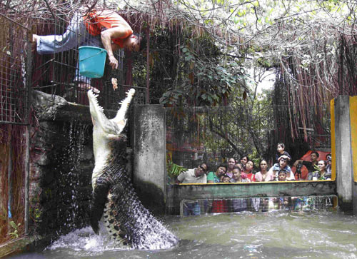 World Environment Day celebration show in Manila