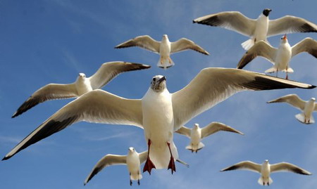 Embrace nature on World Environment Day
