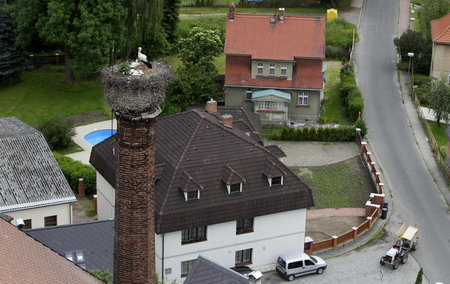 Oldest stork nest lasts for 146 years